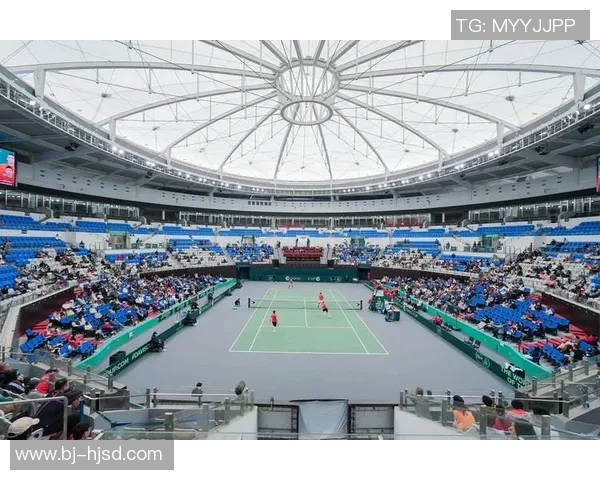 成都网球队团队协作的成功之道与未来发展探讨