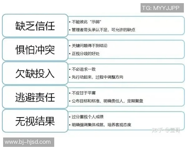 上海乒乓球队的团队协作之道：凝聚力与默契的完美结合